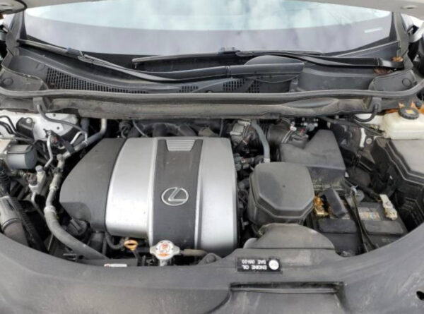 2017 LEXUS RX 350 BAS White - 2T2ZZMCA0HC051391