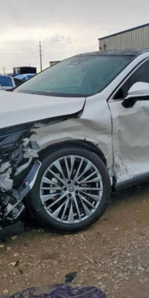 2024 Lexus RX450H White - JTJCJBGA002011957