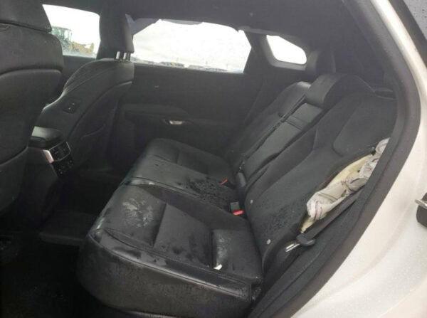2024 Lexus RX450H White - JTJCJBGA002011957