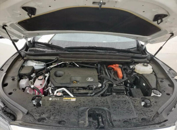2024 Lexus RX450H White - JTJCJBGA002011957