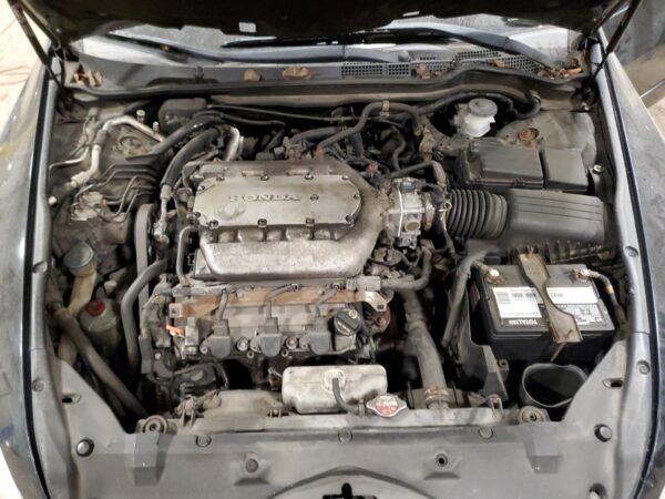 HONDA ACCORD BLACK - 1HGCM66517A063637