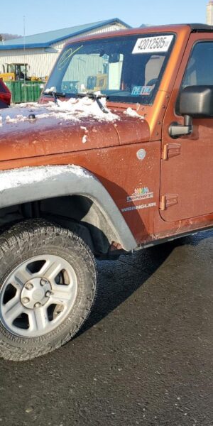 JEEP WRANGLER ORANGE - 1J4AA2D11AL224193