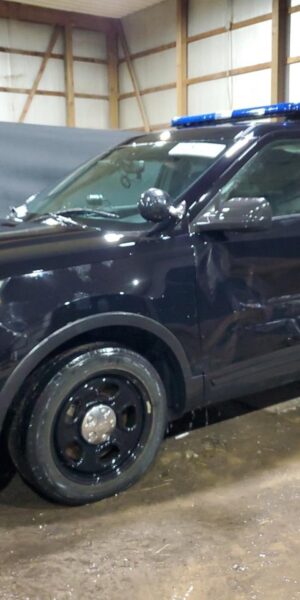 FORD EXPLORER BLACK - 1FM5K8AR6HGD26315