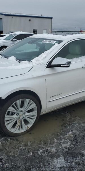 CHEVROLET IMPALA WHITE - 2G1125S31J9148337