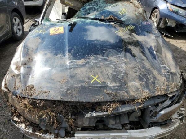 HONDA ACCORD BLACK - 1HGCV2F51JA015598