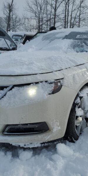CHEVROLET IMPALA WHITE - 2G1155S31E9200644