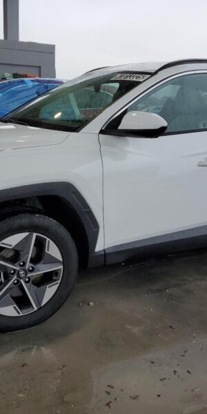 HYUNDAI TUCSON WHITE - 5NMJBCDE4SH491021