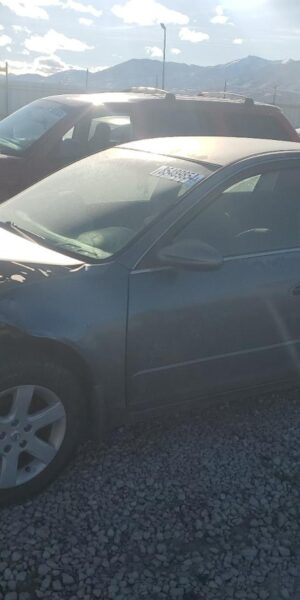NISSAN ALTIMA GRAY - 1N4AL11D52C126543