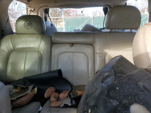 CADILLAC ESCALADE WHITE - 1GYEK63N22R213065