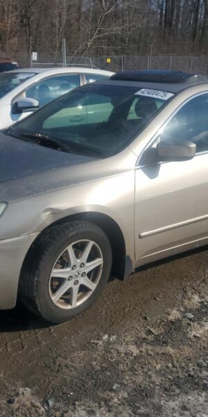 HONDA ACCORD GOLD - 1HGCM66894A053508