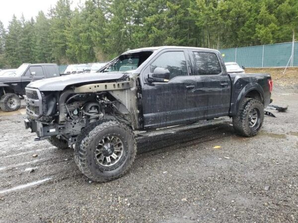 Ford F150 2019 - 1FTFW1RG8KFC47054