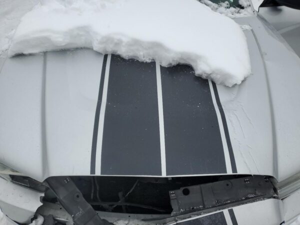 DODGE CHARGER SILVER - 2C3CDXAT8EH216155