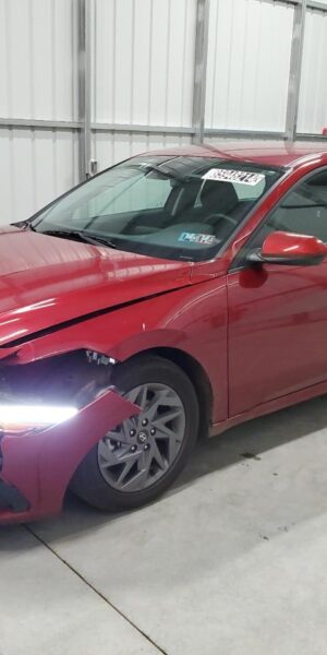 HYUNDAI ELANTRA RED - KMHLM4DG4RU671768