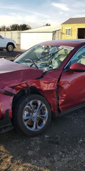 HONDA ACCORD RED - 1HGCY2F66RA047927