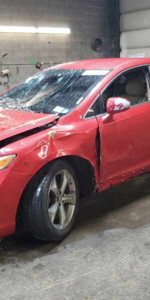 TOYOTA VENZA RED - 4T3ZK3BB2BU038636