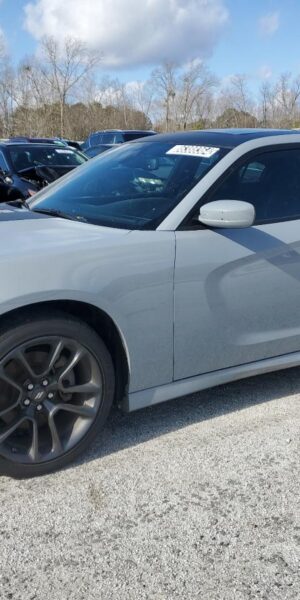 DODGE CHARGER GRAY - 2C3CDXCT8NH240453