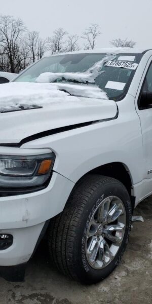 RAM 1500 WHITE - 1C6SRFJT8PN542218