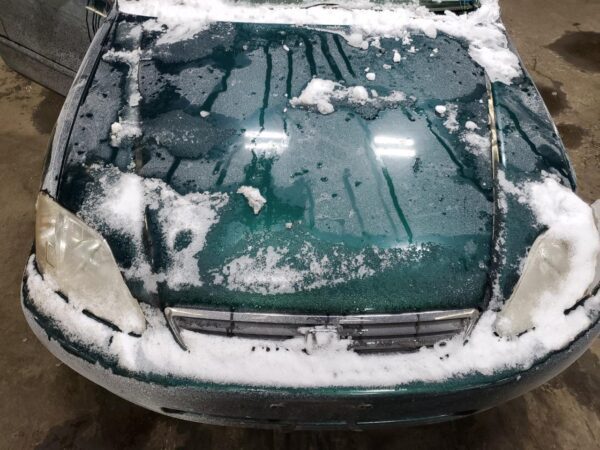 HONDA CIVIC GREEN - 1HGEJ6671XL033058