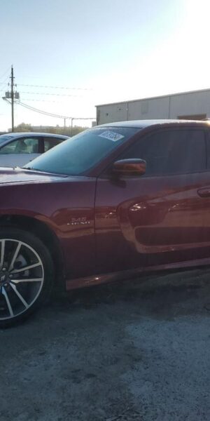 DODGE CHARGER BURGUNDY - 2C3CDXCT2LH105207