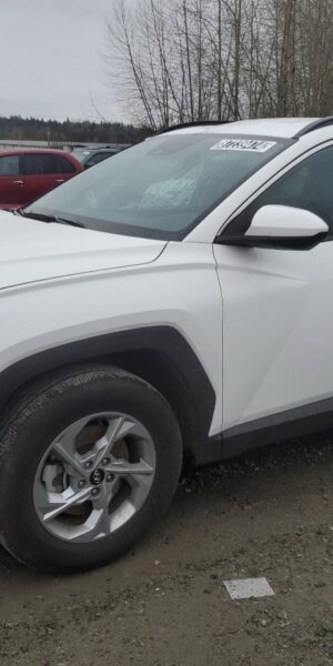HYUNDAI TUCSON WHITE - 5NMJBCDE1RH390030