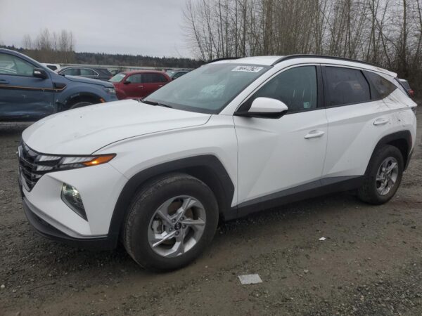 HYUNDAI TUCSON WHITE - 5NMJBCDE1RH390030