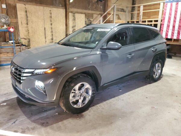 HYUNDAI TUCSON GRAY - 5NMJBCDE6RH392758