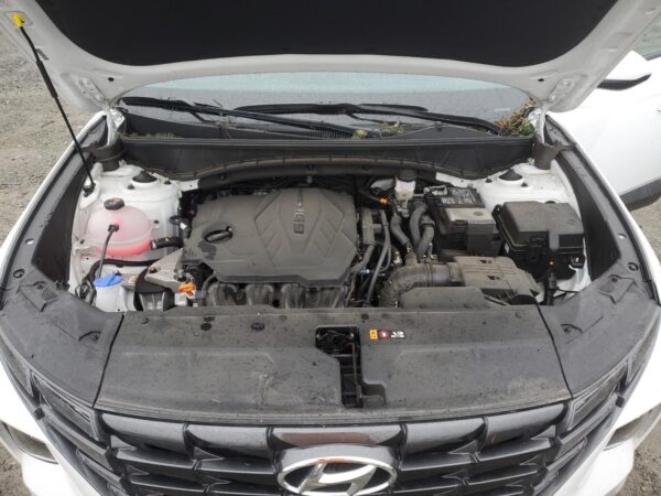 HYUNDAI TUCSON WHITE - 5NMJBCDE1RH390030