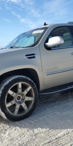 CADILLAC ESCALADE BEIGE - 1GYFK63887R163259