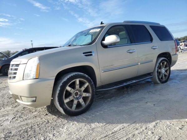 CADILLAC ESCALADE BEIGE - 1GYFK63887R163259