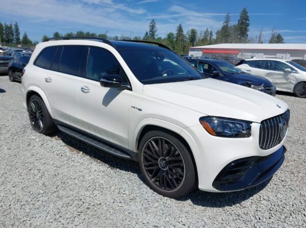 2024 Mercedes-Benz GLS450 4M White - W1NFF5KE2RB042176