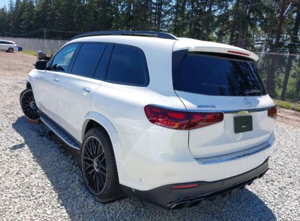 2024 Mercedes-Benz GLS450 4M White - W1NFF5KE2RB042176