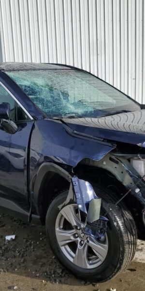 2024 Toyota RAV4 Blue - JTMZ53FV10D034759