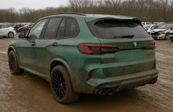 2024 BMW X5 Green - WBS11ET0209Y44538