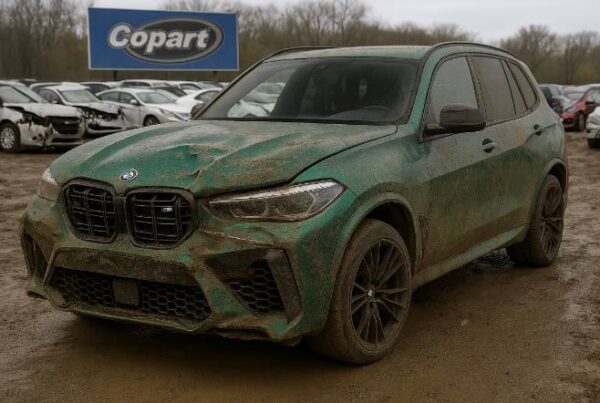 2024 BMW X5 Green - WBS11ET0209Y44538