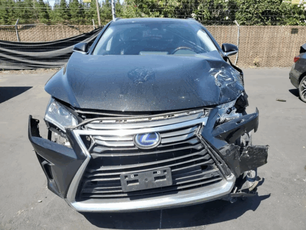 2018 Lexus RX450HL Black - JTJDGKCA002002474