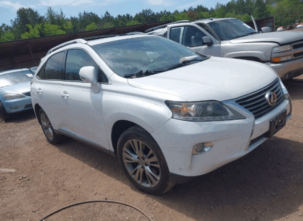 2014 Lexus RX350 White - 2T2BK1BA1EC269999
